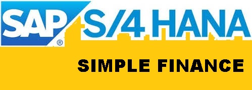 S4HANA SIMPLE FINANCE SYSTEM ACCESS